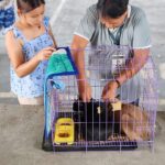bakuna-kontra-rabies-cpntarlac