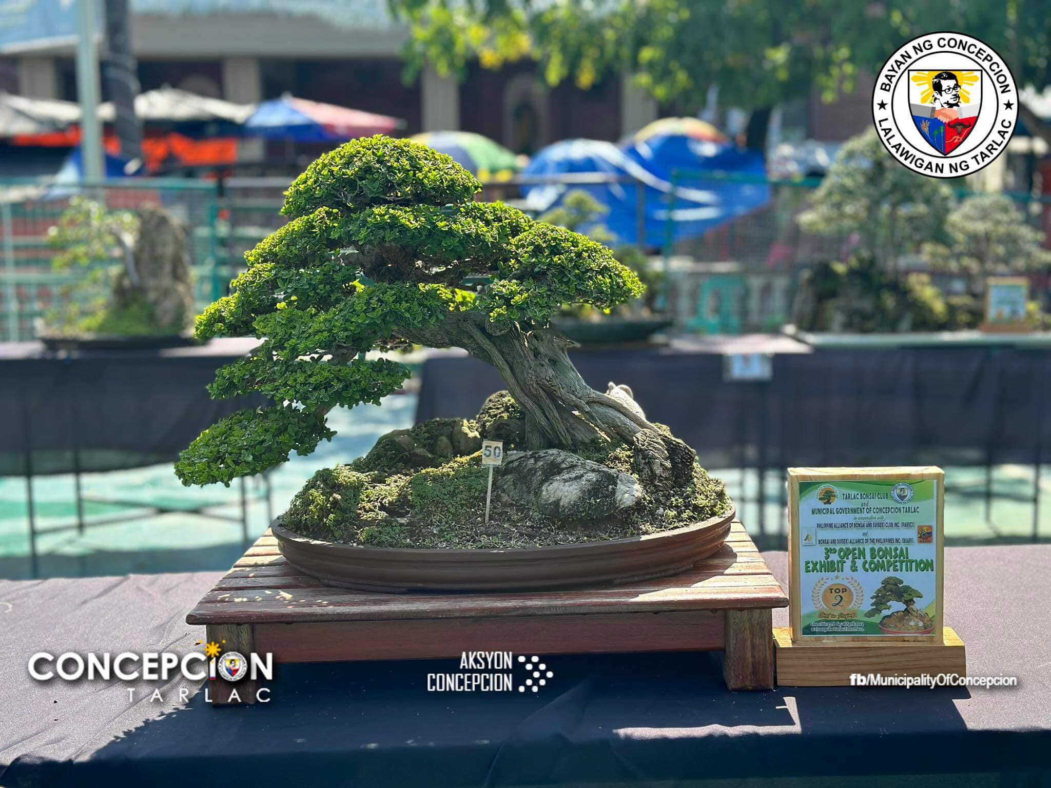 3RD Open Bonsai Exhibit at Competition, Ginanap sa Concepcion